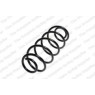 Neox SP7741 - Coil Spring (Rear)