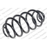 Neox SJ6059 - Coil Spring (Rear)
