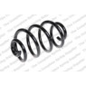 Neox SP9053 - Coil Spring (Rear)