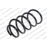 Neox SP8744 - Coil Spring (Front)