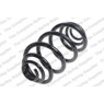 Neox SJ9030 - Coil Spring (Rear)