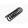 Neox SP7239 - Coil Spring (Rear)