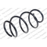 Neox SP9225 - Coil Spring (Front)