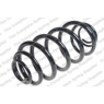 Neox SJ6046 - Coil Spring (Rear)