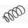 Neox SP7362 - Coil Spring (Front)