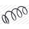 Neox SA6364 - Coil Spring (Front)
