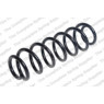 Neox SP7763 - Coil Spring (Rear)
