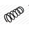 Neox SP7643 - Coil Spring (Front)
