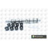 BGA Group CS9503K - Camshaft Kit
