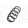 Neox SP7343 - Coil Spring (Front)
