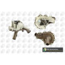 BGA Group CP3806 - Water Pump