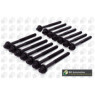 BGA Group BK5316 - Head Bolts