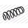Neox ST1174 - Coil Spring (Rear)