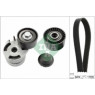 INA 529001210 - Drive Belt Kit