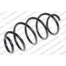 Neox SA6509 - Coil Spring (Front)