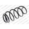 Neox SP7119 - Coil Spring (Front)