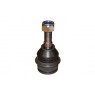 Camber CBJ25281 - Ball Joint (Front Left Hand+Right Hand)