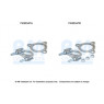 BM Catalysts FK80347 - Fitting Kit-Catalyst (Front)