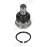 Moog KI-BJ-12659 - Ball Joint (Front)