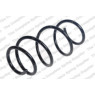 Neox SP9669 - Coil Spring (Front)