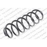 Neox SP6791 - Coil Spring (Rear)