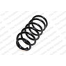 Neox SC6222 - Coil Spring (Rear)