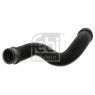 Febi 46386 - Hose (Lower Right Hand)