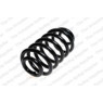 Neox SP7284 - Coil Spring (Rear)