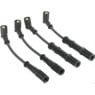 Herth+Buss Elparts 51278824 - Ignition Lead Set