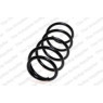 Neox SH6055 - Coil Spring (Front)