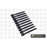 BGA Group BK5346 - Head Bolts