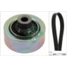 INA 529040310 - Drive Belt Kit