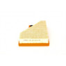 Bosch 1457433100 - Air Filter