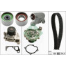 INA 530051930 - Timing Belt-Water Pump Kit