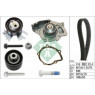 INA 530055831 - Timing Belt-Water Pump Kit