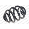 Neox SJ9006 - Coil Spring (Rear)