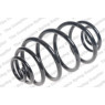 Neox SJ6079 - Coil Spring (Rear)
