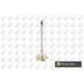 BGA Group V090100 - Exhaust Valve