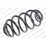 Neox SJ6071 - Coil Spring (Rear)