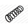 Neox SP8936 - Coil Spring (Rear)