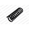 Neox SP9000 - Coil Spring (Rear)