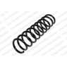 Neox SP6989 - Coil Spring (Rear)