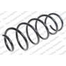 Neox SP7104 - Coil Spring (Front)