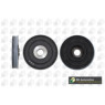 BGA Group DP0597 - Torsion Vibration Damper