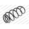 Neox SH6338 - Coil Spring (Front)