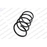 Neox SA6265 - Coil Spring (Front)