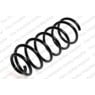 Neox SC6214 - Coil Spring (Front)