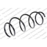 Neox SP7240 - Coil Spring (Front)