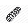 Neox SH6327 - Coil Spring (Rear)