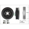 INA 544013820 - Crankshaft Pulley